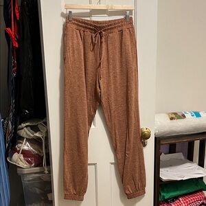Girlfriend Collective Rust Joggers